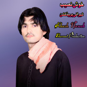 Teray Me Shway Ha Da Gharebi Worzay