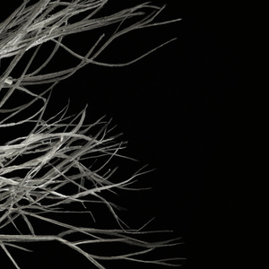 Done With You (Juta Remix)