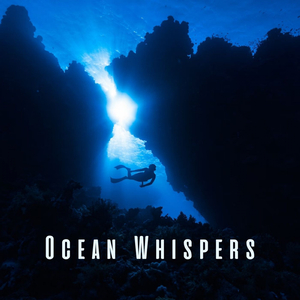 Zenful Oceanic Harmony