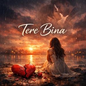 Tere Bina