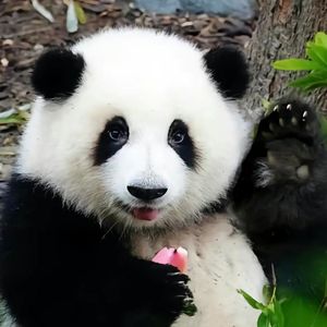 停留在昨天 伴奏