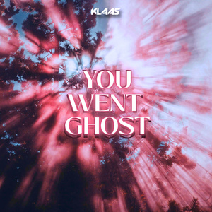 You Went Ghost
