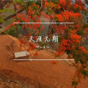 天涯无期