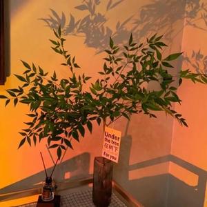 Run Away（prod EVOMUSIC)