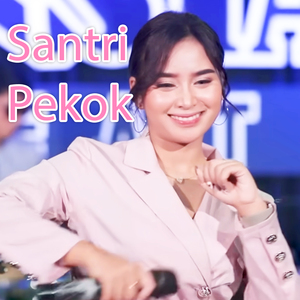 santri pekok