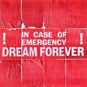 Dream Forever (feat. Tamino404)