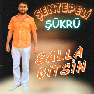 Salla Gitsin