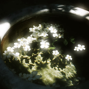 Lazer Boomerang-Time to Pretend(Slowed)（fryly remix）