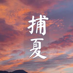 夏日祭与蝴蝶般的你（西园寺日寄子印象曲）