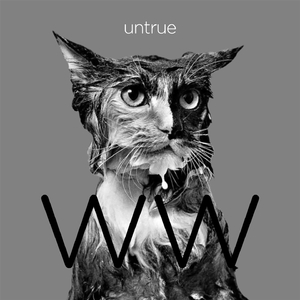 Untrue