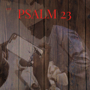 Psalm23