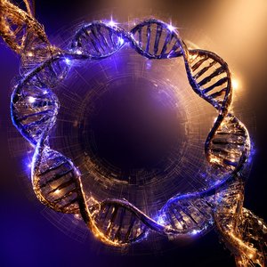 레몬 사탕 (Lemon Candy)