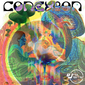 Conexion