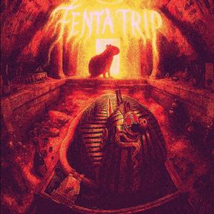 #fentatrip 2
