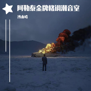 沙木哈潮牌铃声(3)