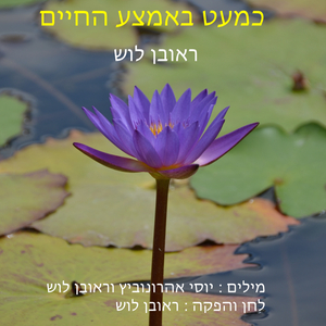 כמעט באמצע החיים