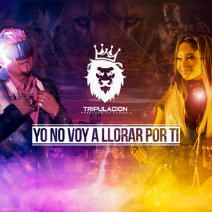 Yo No Voy a Llorar por Ti