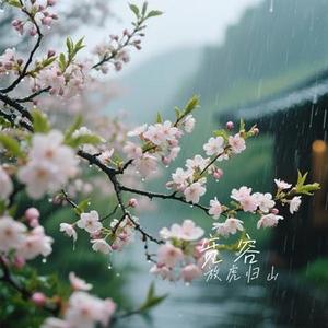 宽容(Cover 张信哲)