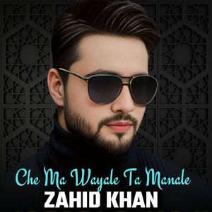 Da Che Meena Zama Rwaz Pa Rwaz Zyatege