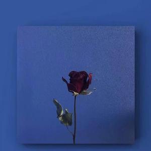 喜欢你我怎么去说