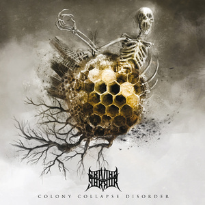 Skybreaker