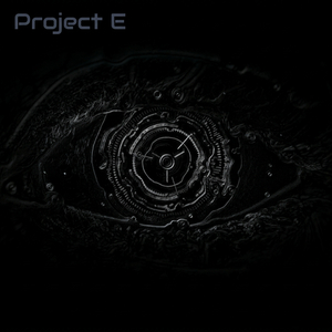 Phase 04