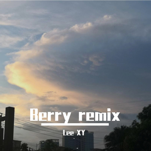 李佳隆-Berry remix（Lee XY remix）