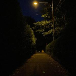 all year (feat. byelilnatsu!)