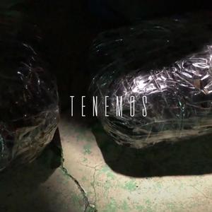 Tenemos (feat. La Movie)