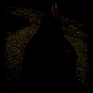 Tried (2017 Unreleased)