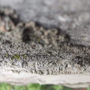 彼方尚有荣光在