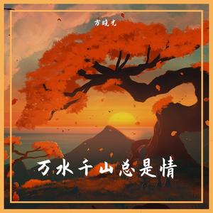 万水千山总是情