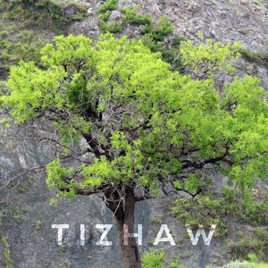 Pish Daramad Mahoor Tizhaw