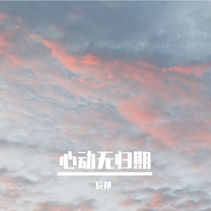 心动无归期