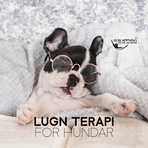 Insvept i natthimlen