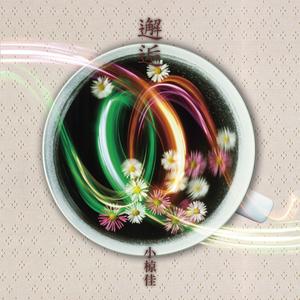 雑魚という名の魚はいない