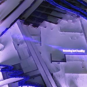 Knowing Isn't Healthy