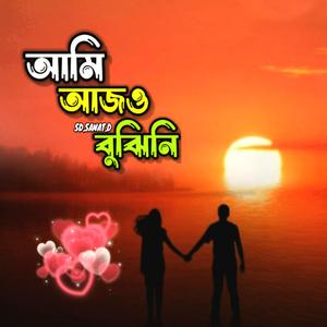 আমি আজও বুঝিনি