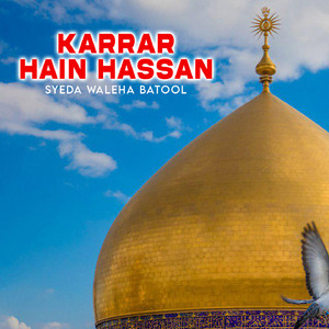 Karrar Hain Hassan