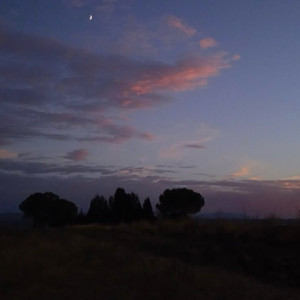 i still think about you