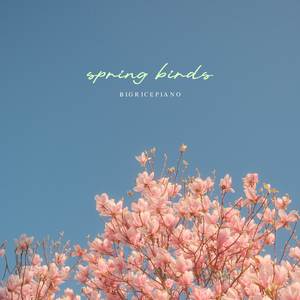 spring birds
