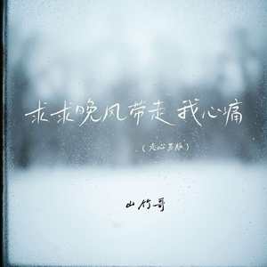 求求晚风带走我心痛(走心男版)