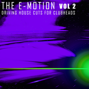 True Connection (Fox Connection Mix)