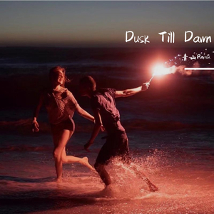 Sia-Dusk Till Dawn (Bootleg)（9ZTQS remix）