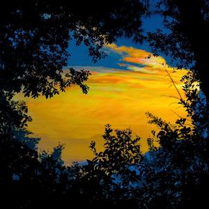 落空（温柔男生版）