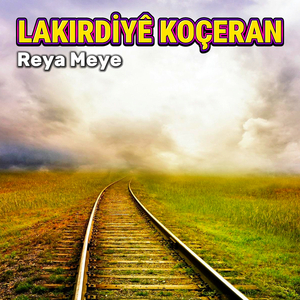 Navagıro