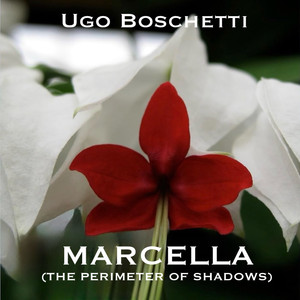 MARCELLA (THE PERIMETER OF SHADOWS)