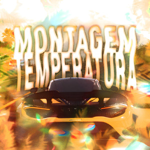MONTAGEM TEMPERATURA