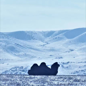 遠行(Feat.Nurxat Askar)