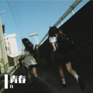 撞进夏天的风里